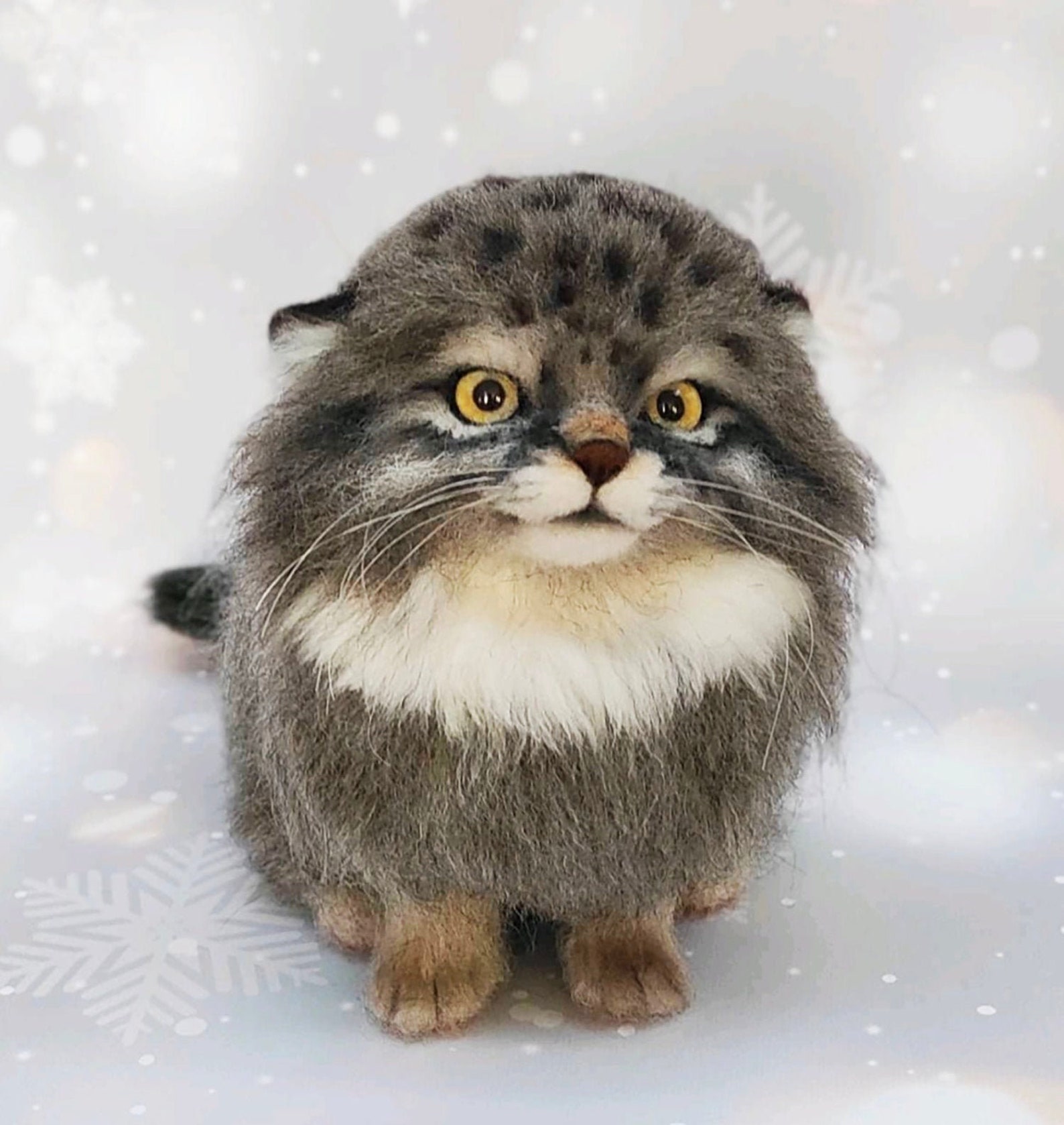 Купить манула котенка в москве