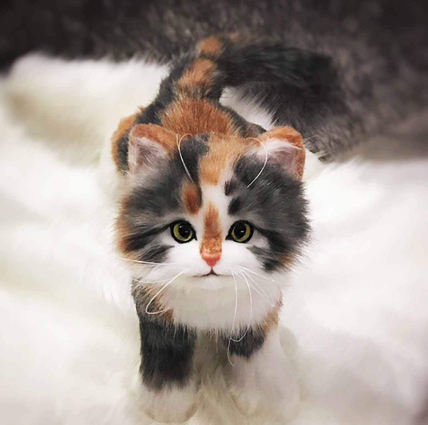 CUSTOM KITTEN Plush Toy, 3D Realistic Cat Plushie, Stuffed Cat, Plush ...