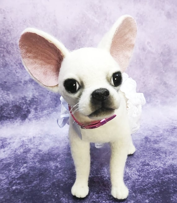 Blonde chihuahua cheap puppy