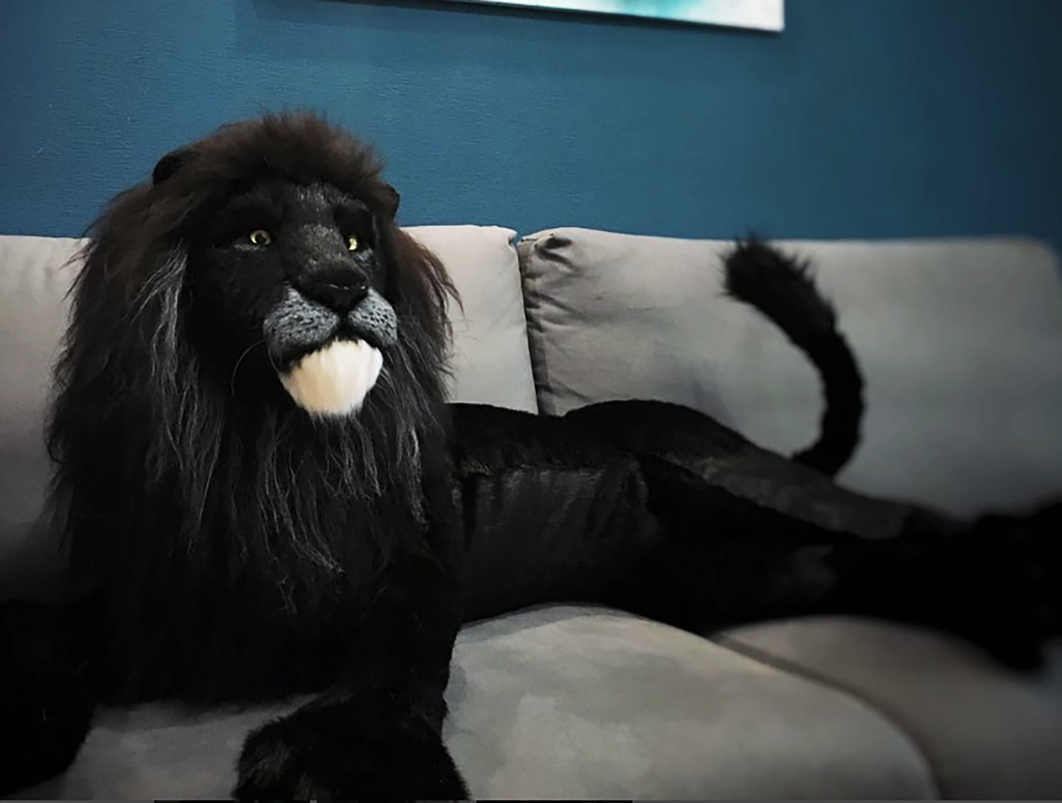 大きなブラックライオンぬいぐるみ、オーダーメイド、3Dリアルライオン