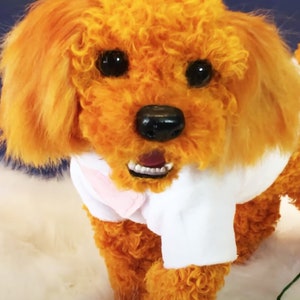 May include: A plush toy poodle with orange curly fur, wearing a white shirt with a pink collar. The toy has black eyes, a black nose, and a pink tongue.