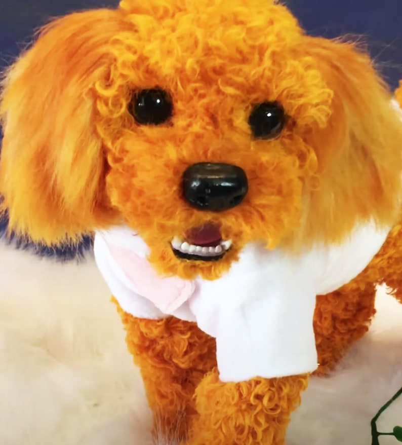 May include: A plush toy poodle with orange curly fur, wearing a white shirt with a pink collar. The toy has black eyes, a black nose, and a pink tongue.