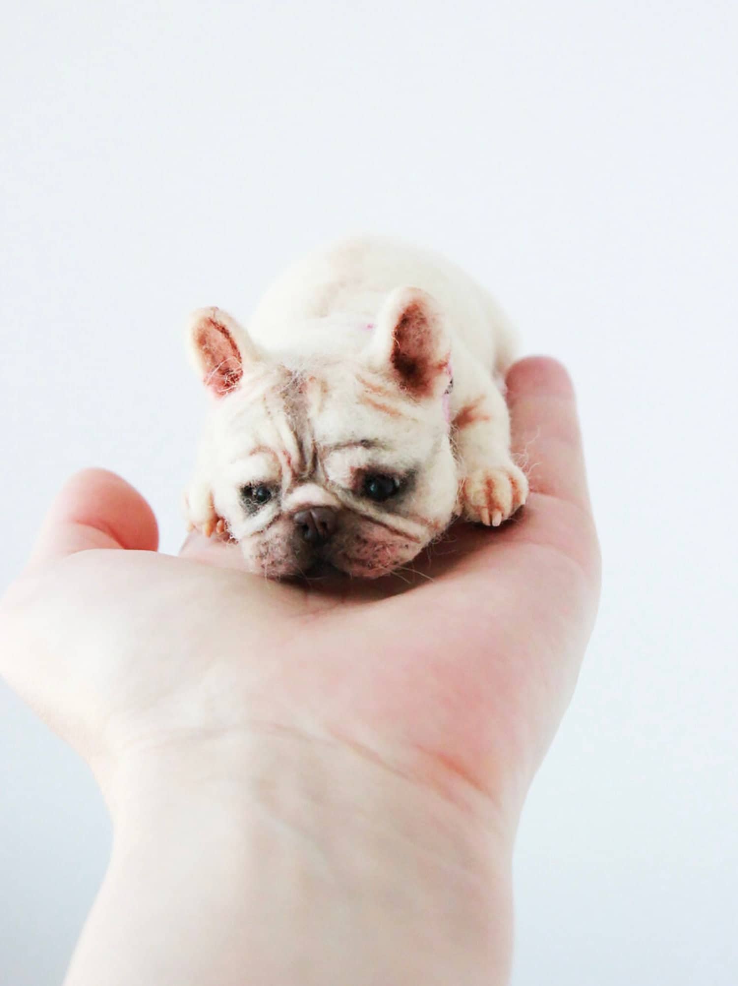 Sottobicchiere Quadrato Con Carlino Addormentato - Simpatico Regalo Per Amanti Dei Cani - 9,5x9,5 Cm Con Retro In Sughero