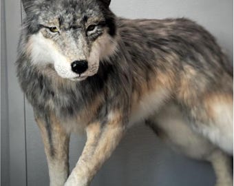 オーダーメイドの大きな大人のオオカミのぬいぐるみ、ぬいぐるみ