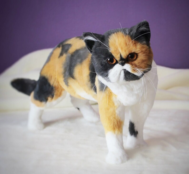 May include: A calico cat with black, orange, and white fur. The cat has a grumpy expression and is looking directly at the camera.