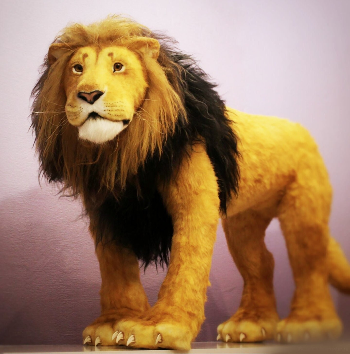 Where can i buy deals a stuffed lion