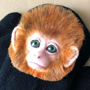 Puede incluir: Primer plano de una cabeza de mono de peluche con pelaje naranja, ojos verdes y nariz rosa. La cabeza del mono est&aacute; unida a un fondo de tela negro.