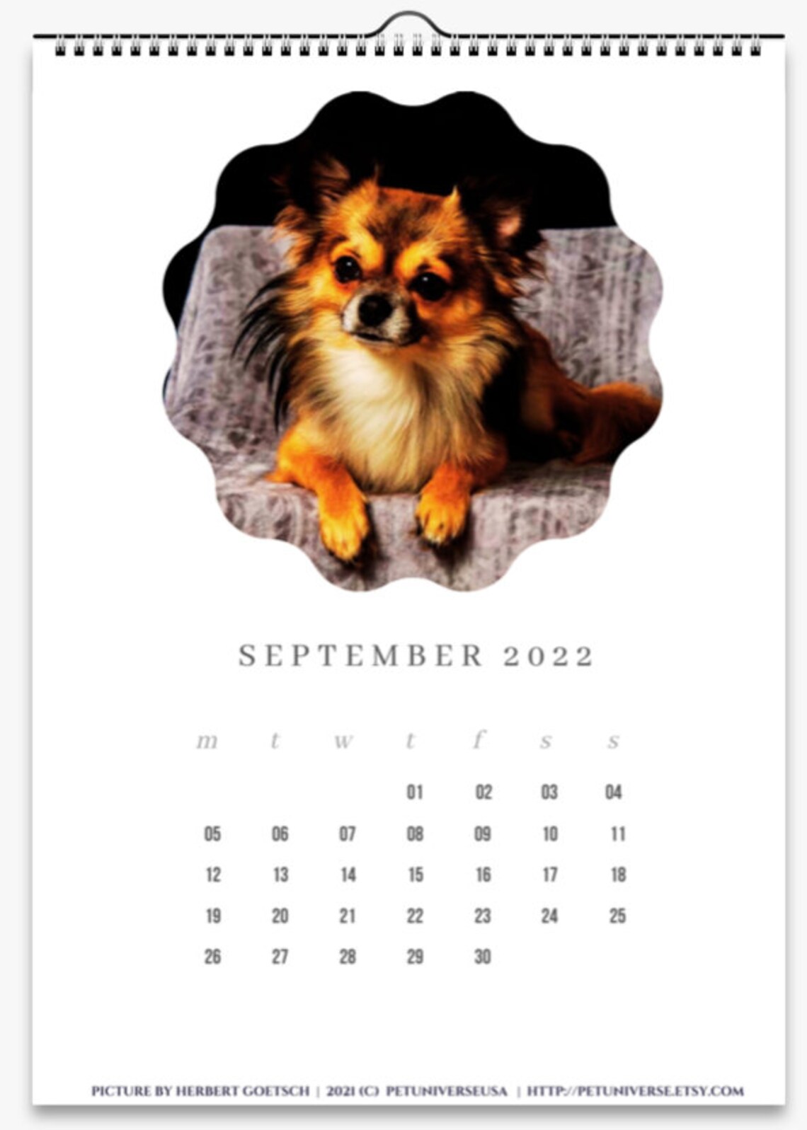 CHIHUAHUA VERTICAL CALENDAR 2022 Dogs Calendar 2022 | Etsy