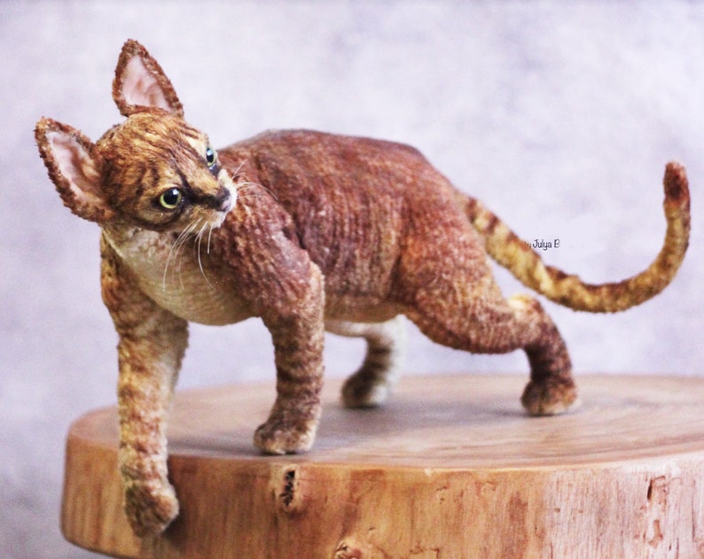DEVON REX CAT Plush Toy 3D Realistic Cat Plushie Stuffed Etsy