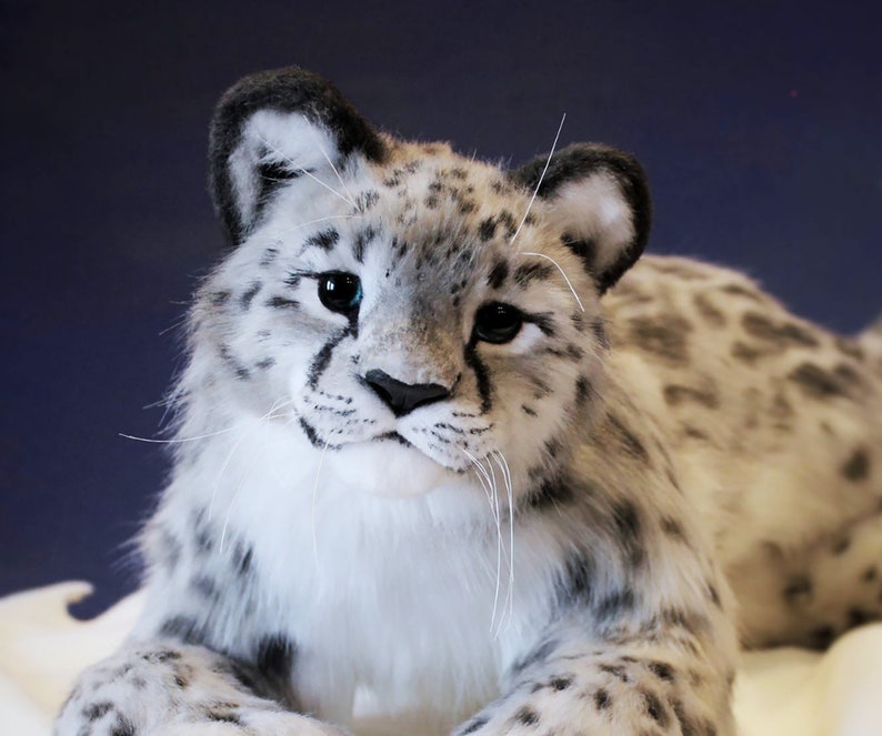 May include: A close-up of a white and gray snow leopard plush toy with blue eyes. The toy is lying on a white surface.