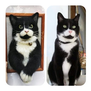 May include: A black and white cat with green eyes and a pink nose. The cat is wearing a collar with a bell. The image shows a framed felted portrait of the cat next to a photo of the cat.