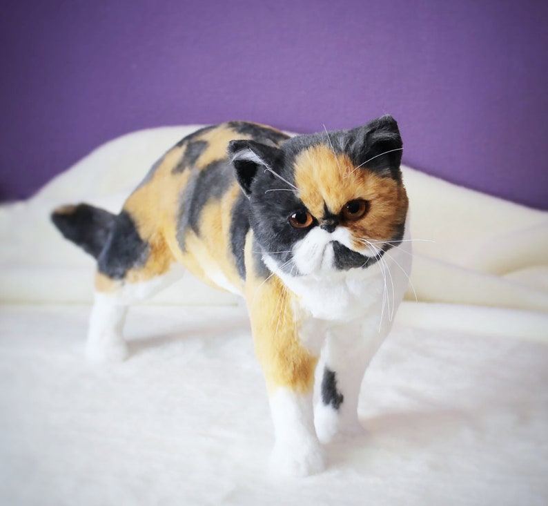 May include: A calico Persian cat with white fur on its face and paws, standing on a white surface. The cat has black and orange markings on its body and a serious expression.