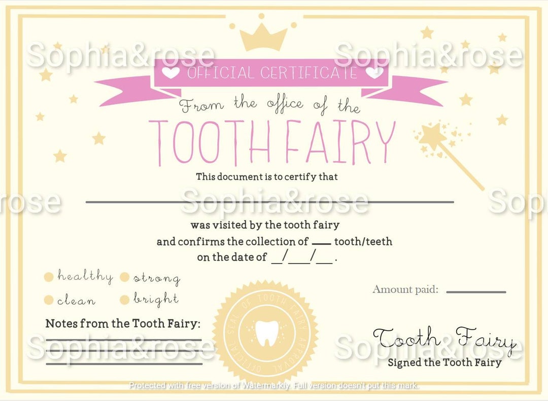 Tooth Fairy Certificate Report Receipt Teeth Keepsake Etsy