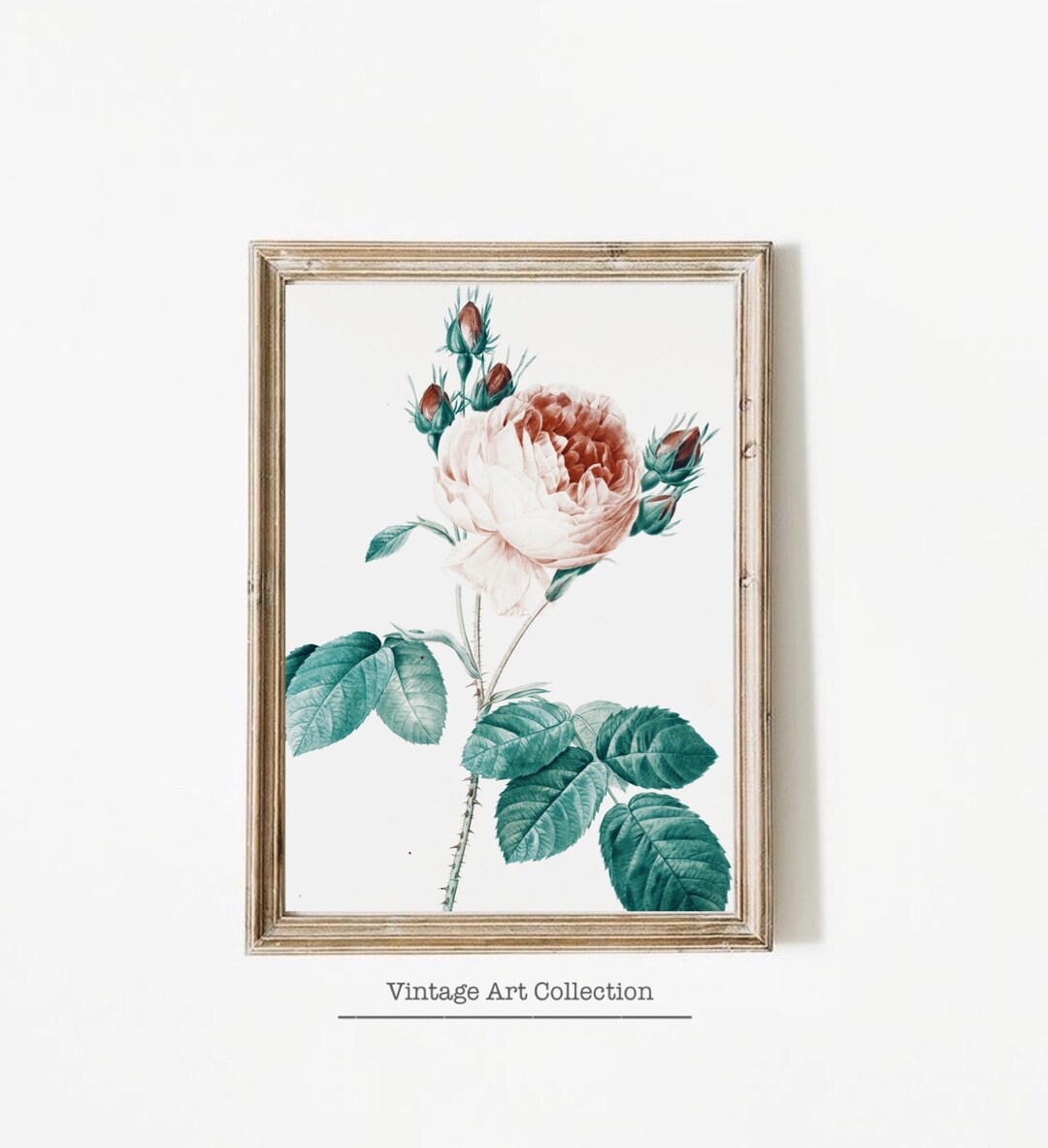 Printable Botanical Art Print for Home Decor Vintage Floral Art Print ...