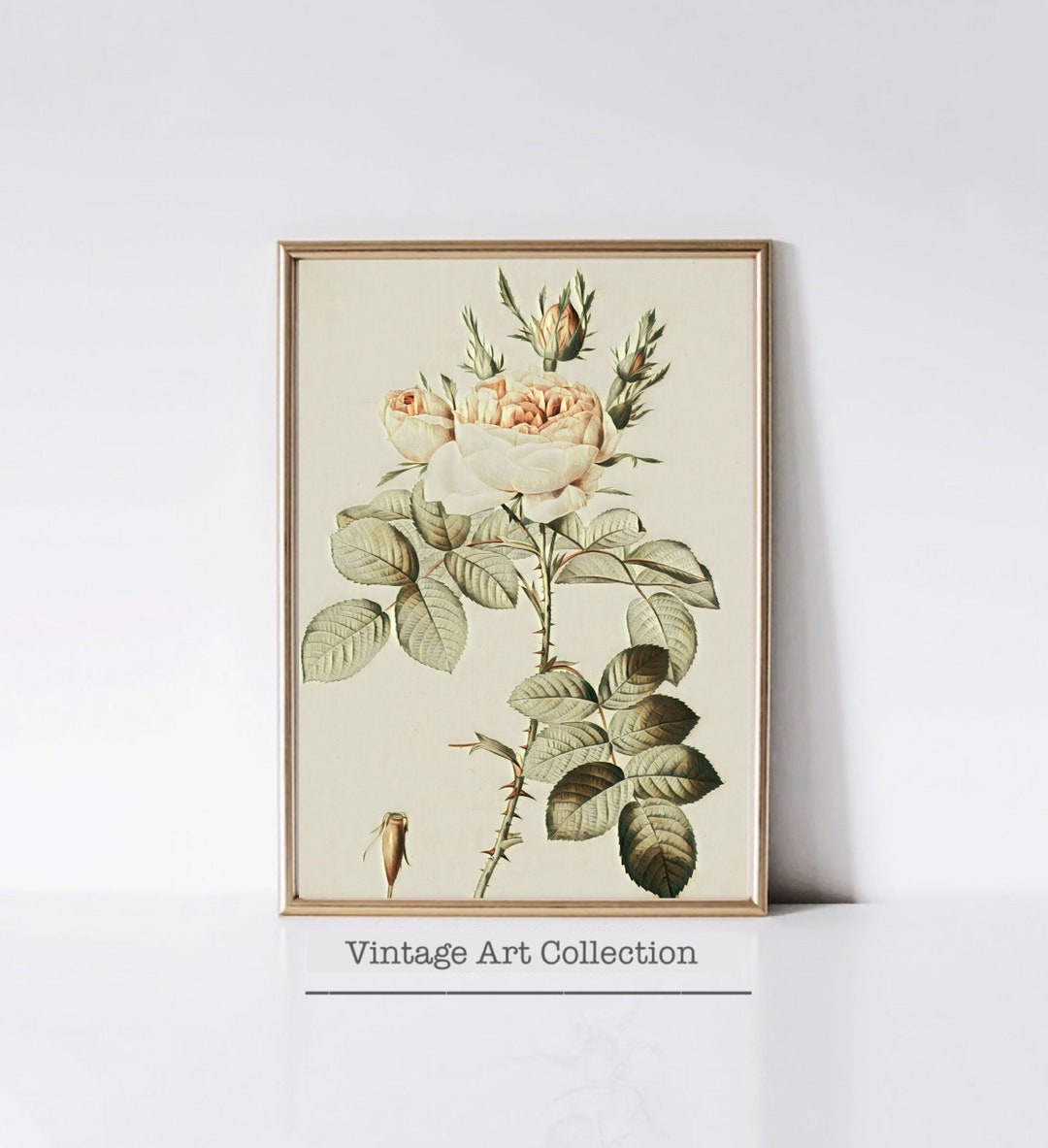 Printable Botanical Art Print for Home Decor - Vintage Floral Art Print ...