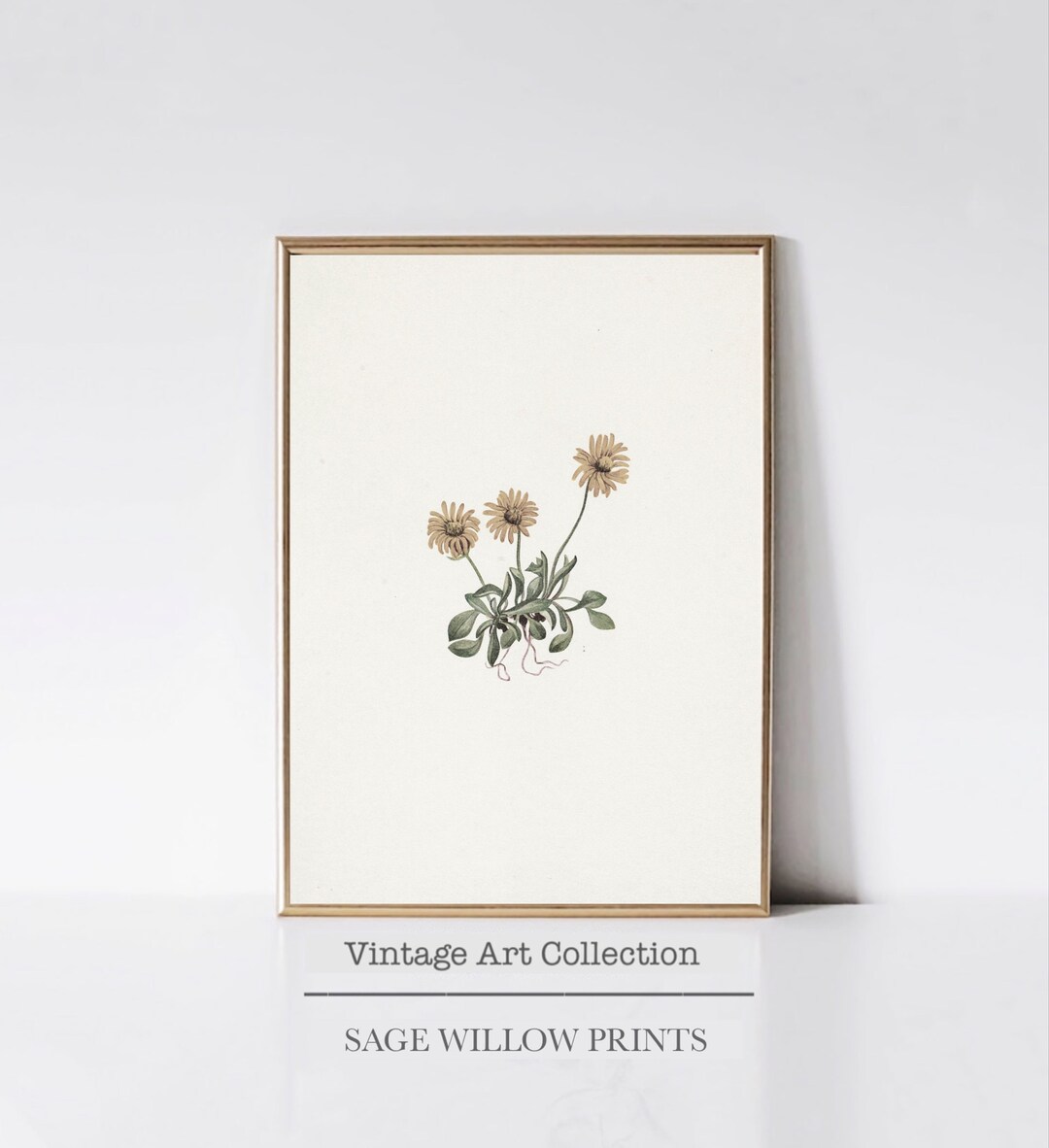 Printable Botanical Art Print for Home Decor Vintage Floral Art Print ...