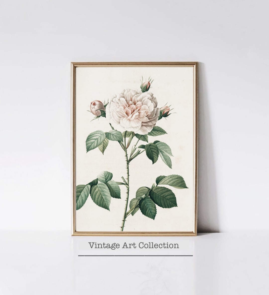 Printable Botanical Art Print for Home Decor Vintage Floral Art Print ...