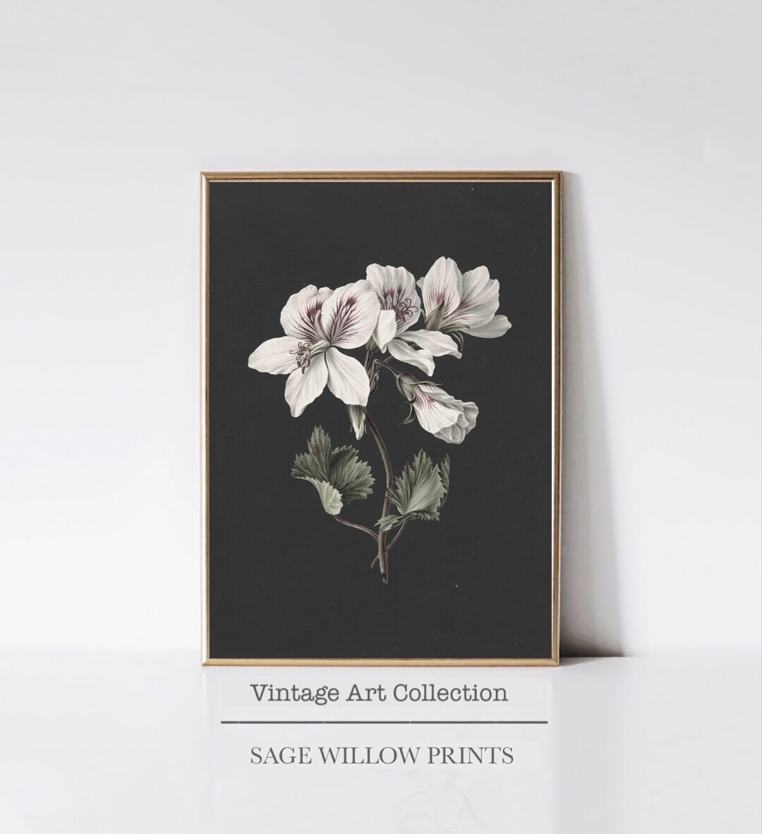 Printable Botanical Art Print for Home Decor Vintage Floral Art Print ...
