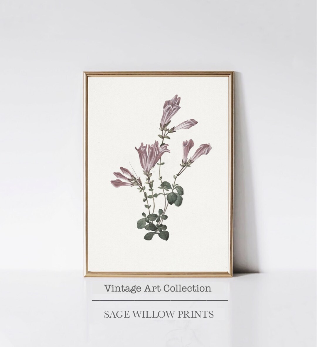 Printable Botanical Art Print for Home Decor Vintage Floral Art Print