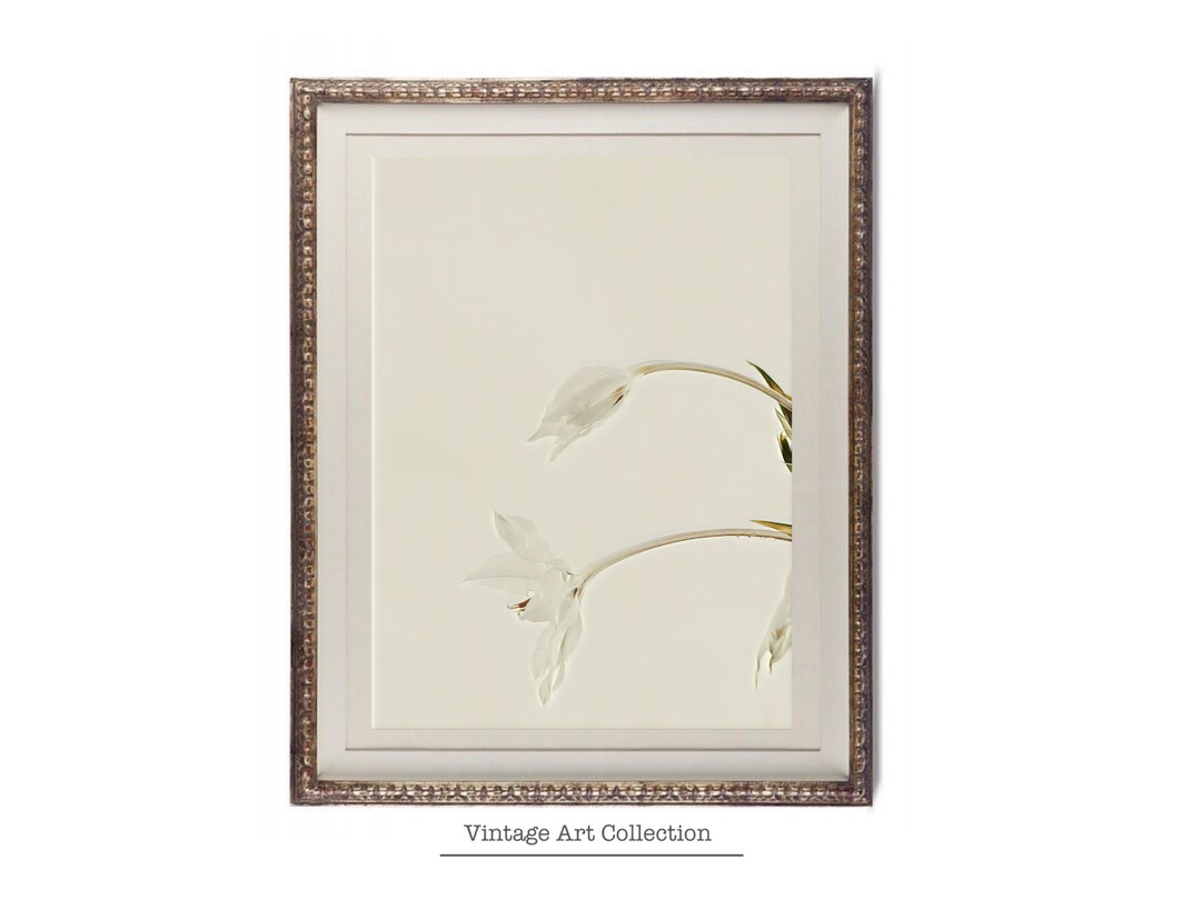 Printable Botanical Art Print for Home Decor Vintage Floral Art Print ...