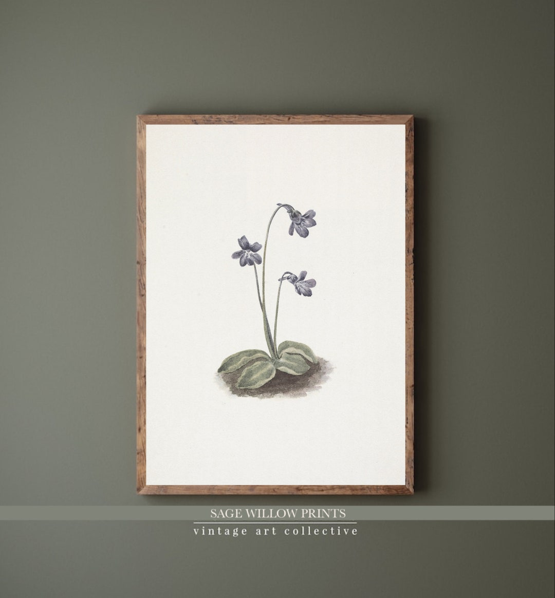 Printable Botanical Art Print for Home Decor Vintage Floral Art Print ...