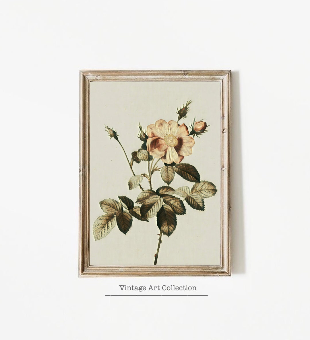Printable Botanical Art Print for Home Decor Vintage Floral Art Print