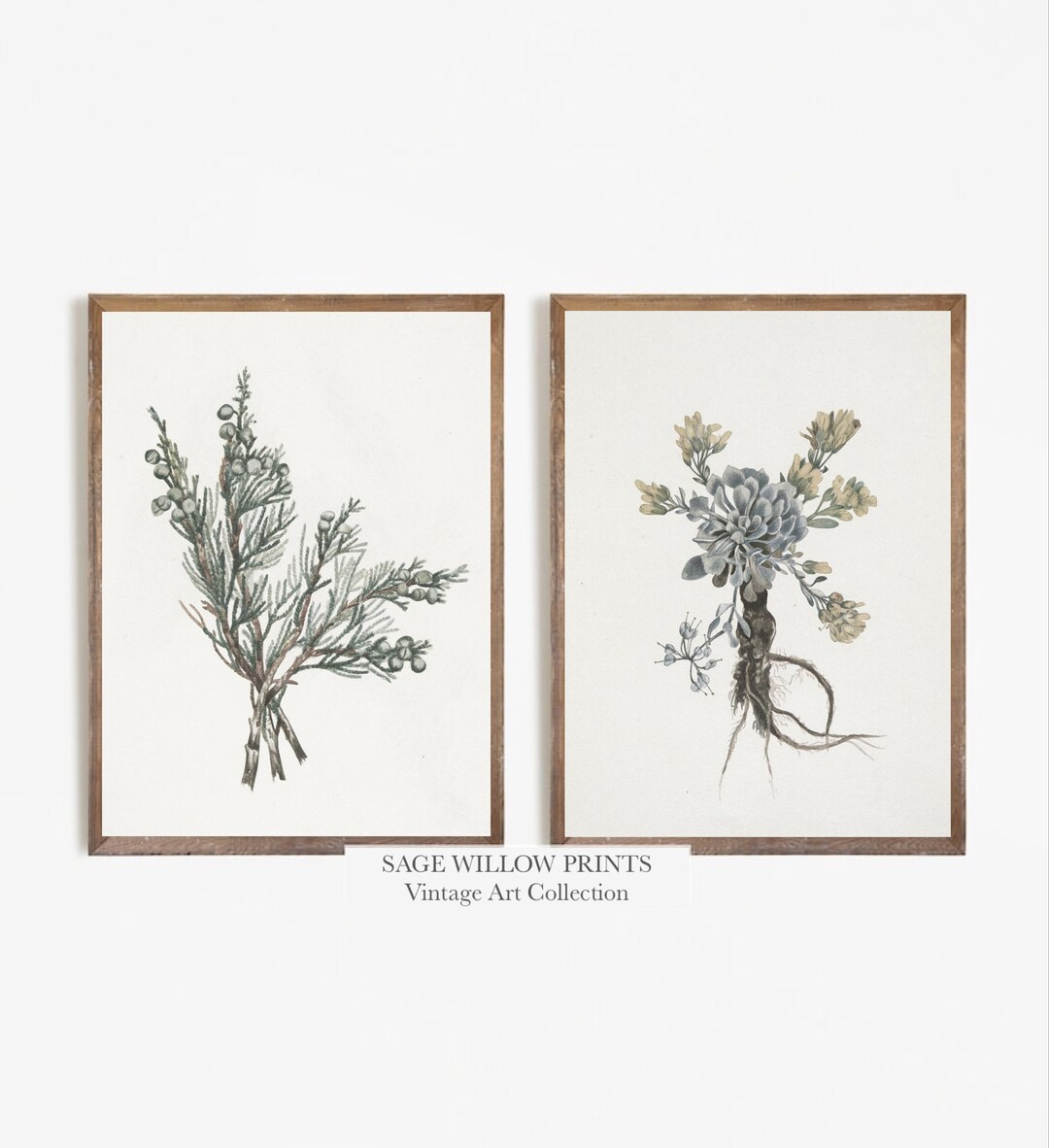 Printable Botanical Art Print for Home Decor Vintage Floral Art Print ...