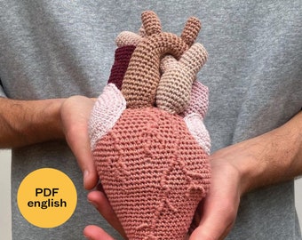 May include: A crocheted anatomical heart in shades of pink, brown, and red. The heart is detailed with crocheted veins and chambers.