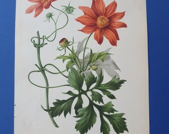 il_340x270.2887877928_en7o.jpg