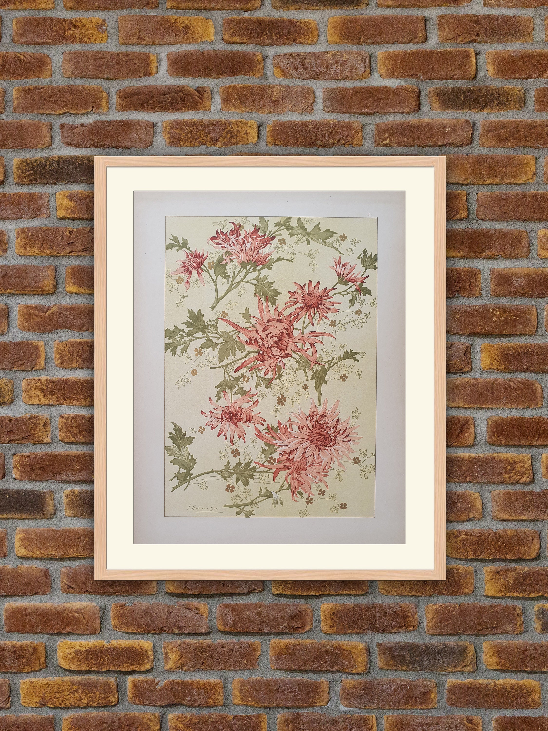 Lithographie Art Nouveau - Caprices Décoratifs Des Fleurs Habert Dys I. Chrysanthème