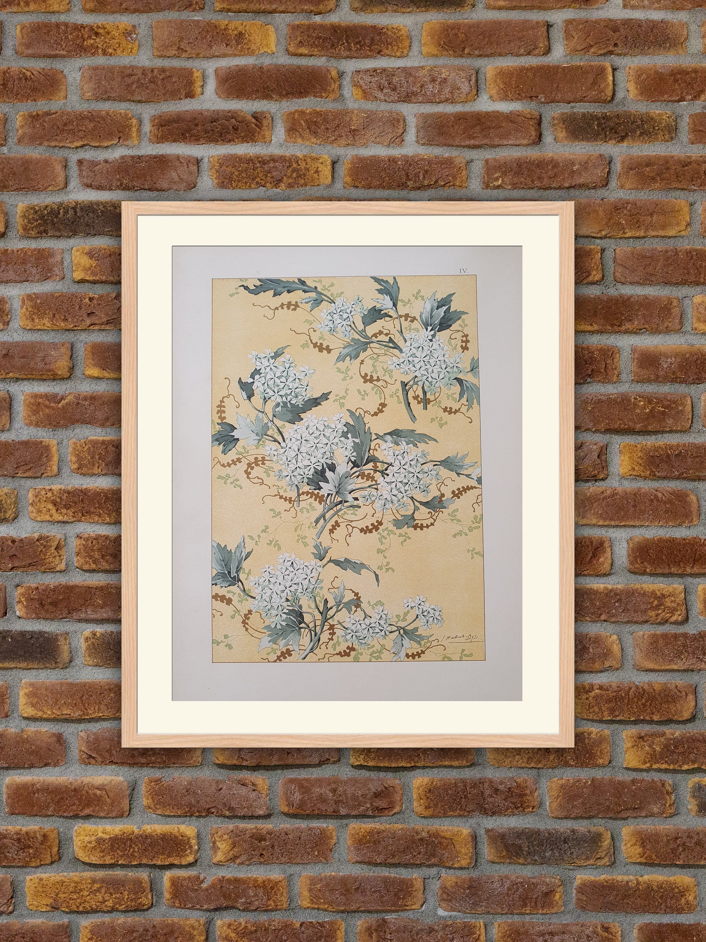 Lithographie Art Nouveau - Caprices Décoratifs Des Fleurs Habert Dys Iv. Boule-De-Neige