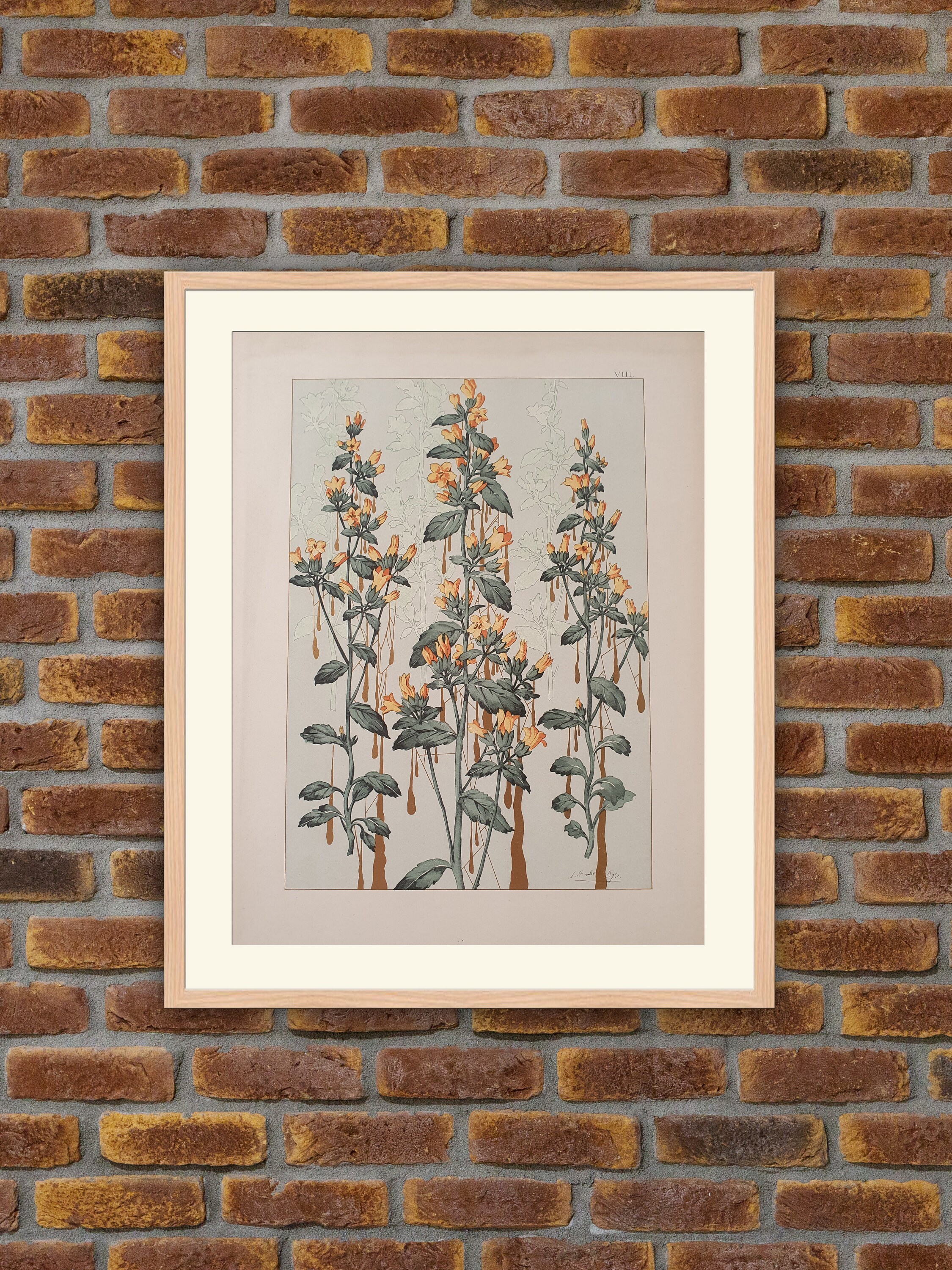 Lithographie Art Nouveau - Caprices Décoratifs Des Fleurs Habert Dys Viii. Campanule