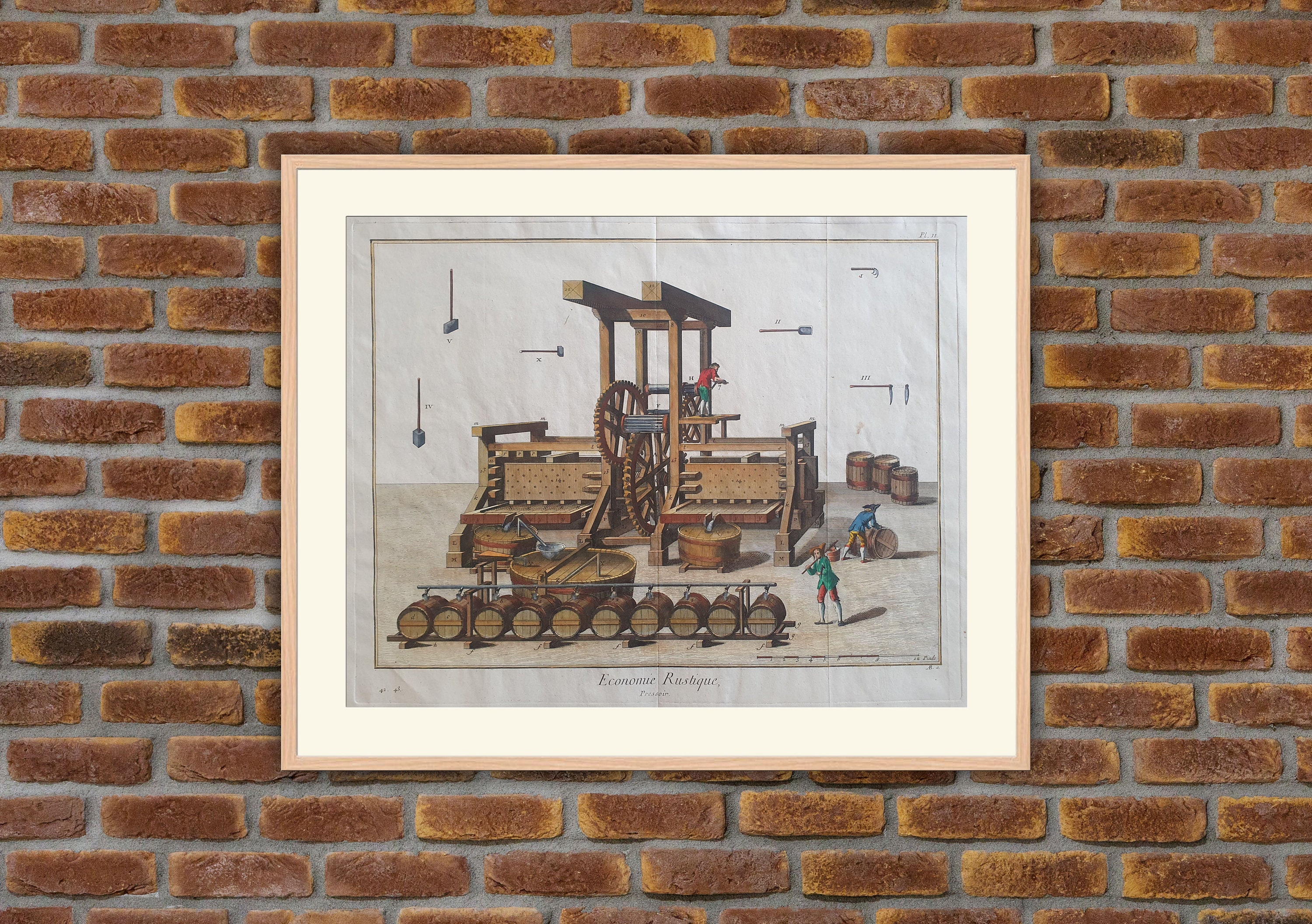 Metiers - Economie Rustique, Pressoir Encyclopédie Diderot d'alembert 1750 Gravure Couleurs