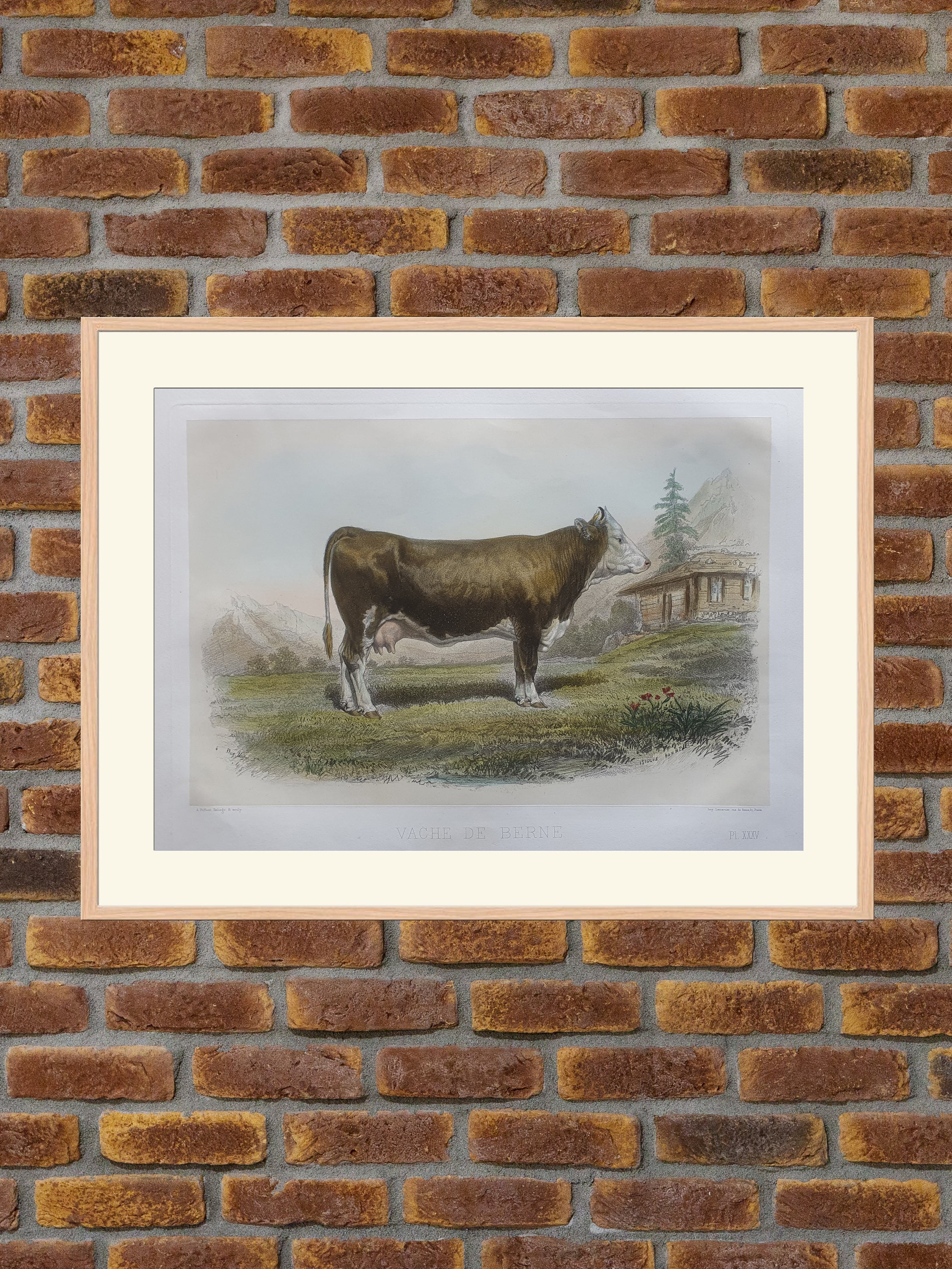 オリジナル木版画☆子牛 fit=scale-down,w=1200