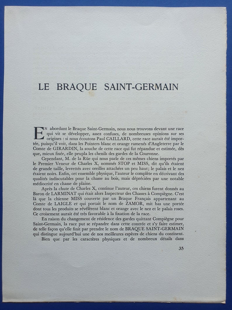 1944 color engraving Dogs Braque Saint-Germain Saint-Germain Hunting dog 9.4x12.2in Hunt Print, Decoration, antique Print image 5