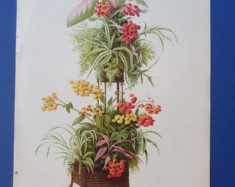 Flowers - Flower Arrangement - 19th Century Colored Lithography