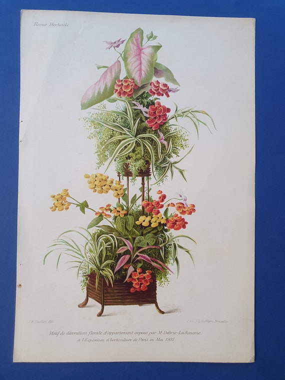 Flowers - Flower Arrangement - 19th Century Colored Lithography