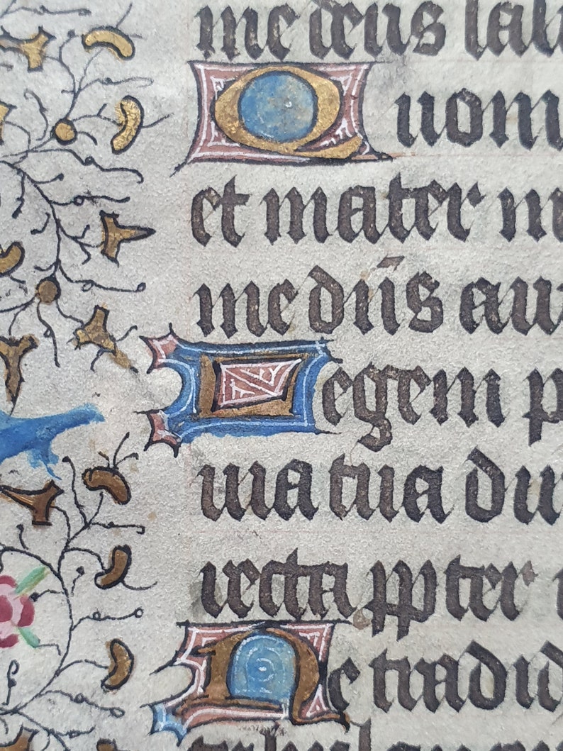 Edad Media - Raro, Iluminación: Hoja de un manuscrito medieval sobre ...