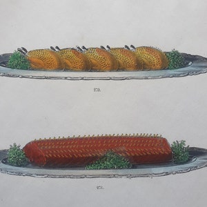 1872 colored engraving 270 Perdreaux piqués rôtis, 271: Selle de Chevreuil rôtie... U. Dubois La Cuisine Classique image 4