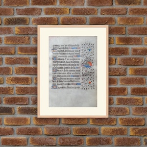 Middle Ages - Rare, Illumination : Sheet from a Medieval Manuscript on Parchment (vellum) from XVth century - 9 - 6.4x4.5in - Decoration