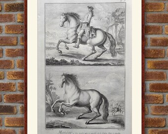 1750 Engraving - Manège, Le Galop uni à gauche et le galop faux à gauche (Riding School) - Diderot d'Alembert Encyclopedia - Large Prints