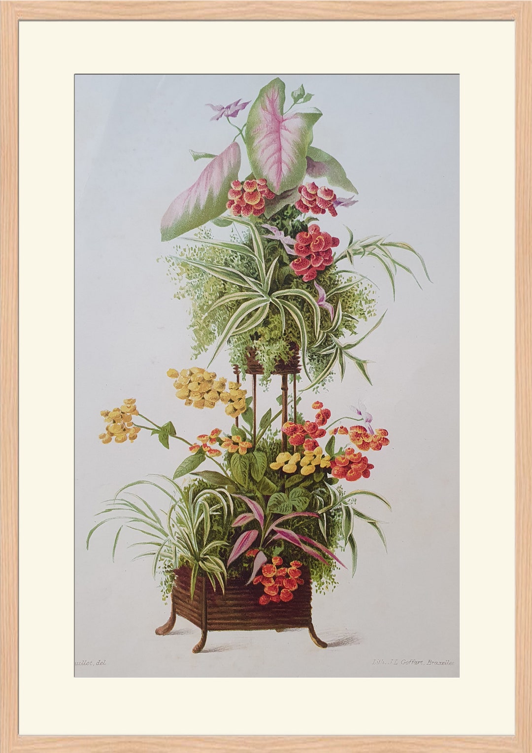 Flowers - Flower Arrangement - 19th Century Colored Lithography