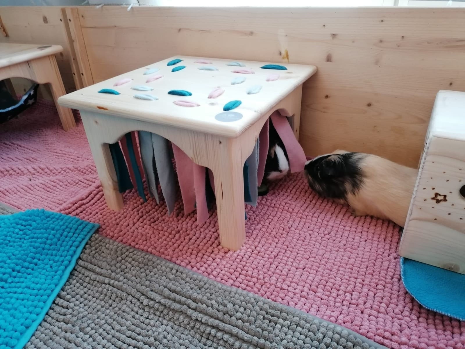 Meerschweinchen Haus Meerschweinchen Waschanlage Kleintier ...