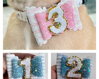 May include: Three dog bow ties with glitter and white numbers on a blue and white striped background. The numbers are 1, 2, and 3.