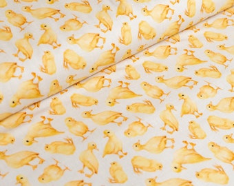 Cotton Jersey Fabric, Duck Fabric, Stretch Knit Fabric