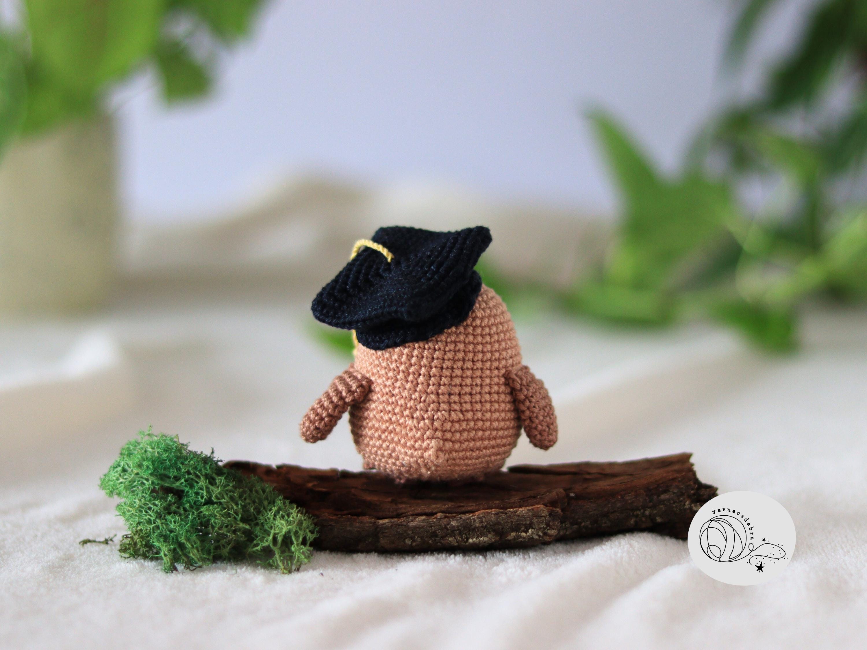 Regalo Di Laurea Originale: Simpatica Bambola Di Cetriolo All'Uncinetto Con Cappello Da Dottorato - Supporto Emotivo