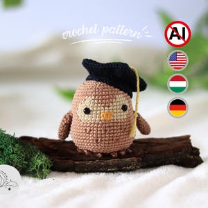 Graduation Owl Crochet Pattern, Amigurumi DIY Gift