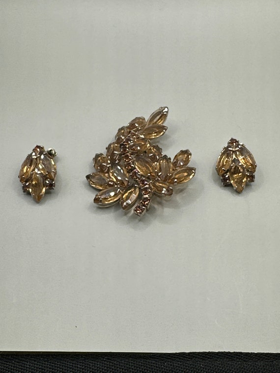 Light Brown Rhinestone Brooch Set