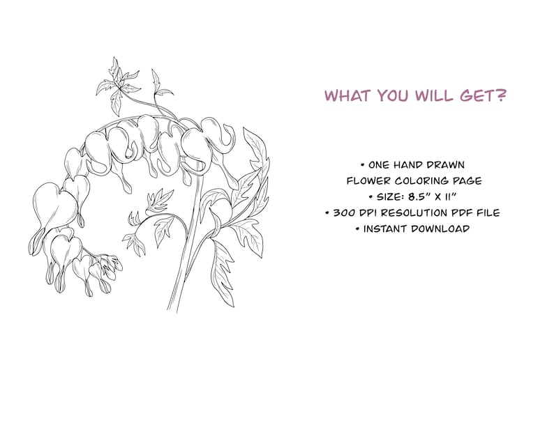 Printable Flower Coloring Pages - Il 794xN.4973187141 S1vp 