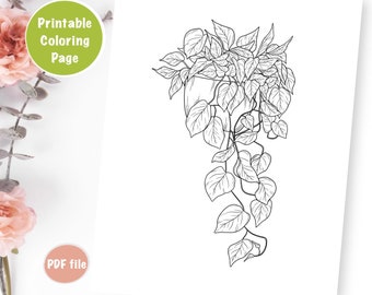 Printable Adult Coloring Page, Devil’s Ivy Botanical Plant Drawing, Indoor Plant Coloring Sheets for Relaxation, Digital Coloring page